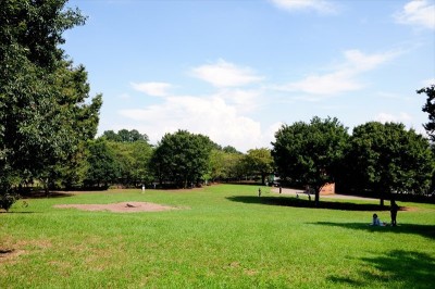 祖師谷公園