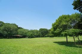 大泉中央公園