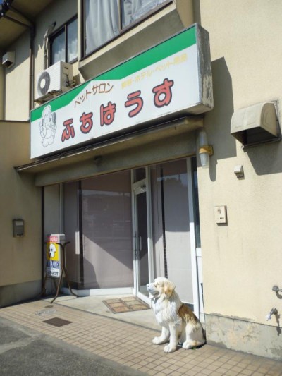 ペットショップぷちはうす