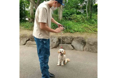 ドッグトレーニングみかん