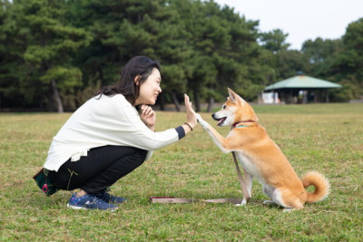 Dog Life Coordinate