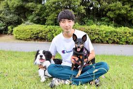 DOG SCHOOL Breeze