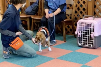 たまとポチ