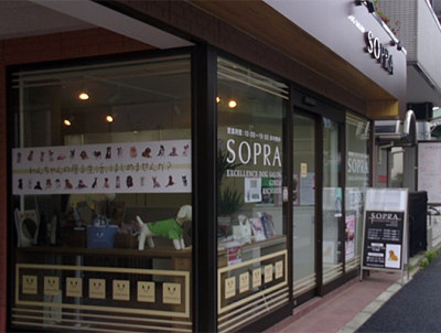 SOPRA GINZA 吉祥寺