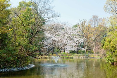 和田堀公園