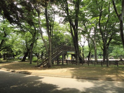 世田谷公園