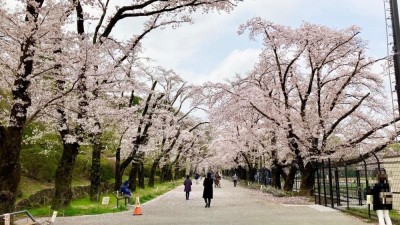 富士森公園