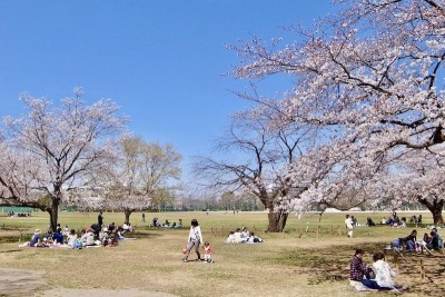 武蔵野中央公園