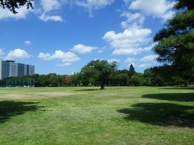 武蔵野中央公園