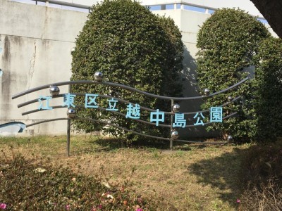 江東区立越中島公園