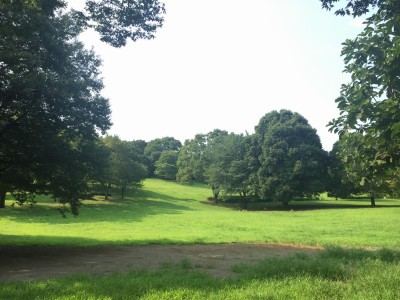 富士見台公園