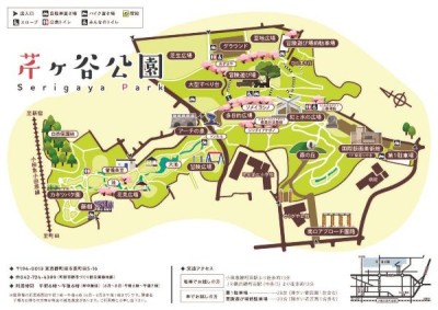 芹ヶ谷公園