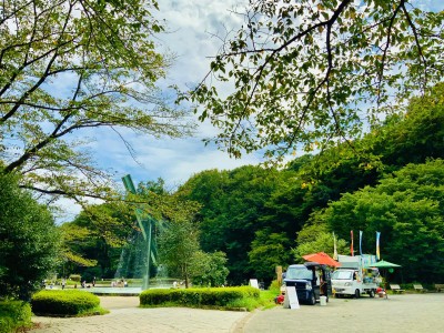 芹ヶ谷公園