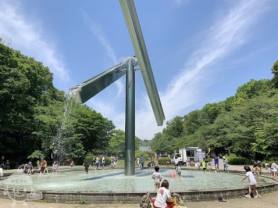 芹ヶ谷公園