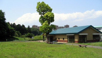 都立小山内裏公園