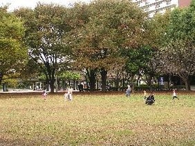 新小岩公園