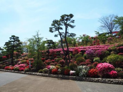 なぎさ公園