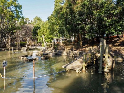平和の森公園