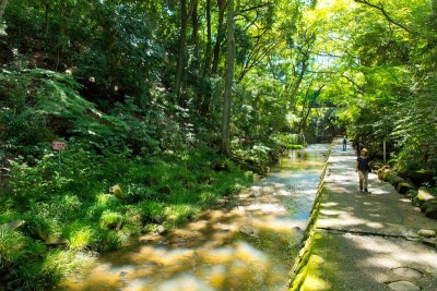 等々力渓谷公園