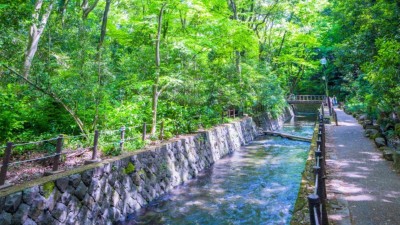 等々力渓谷公園