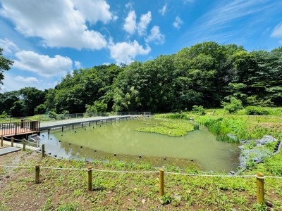 平山城址公園