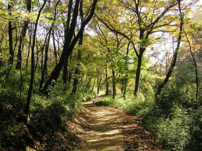 平山城址公園
