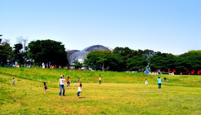 夢の島公園