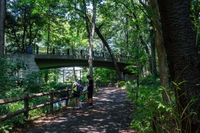 林試の森公園