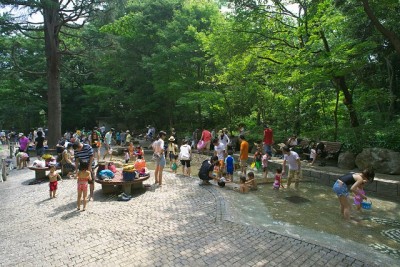 林試の森公園