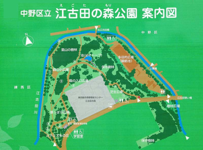 江古田の森公園