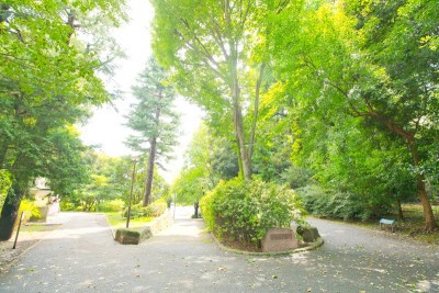 江古田の森公園