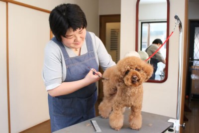 デイケア・トリミングサロン 仔友会