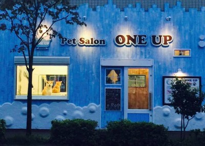 愛犬の美容室ワンアップ