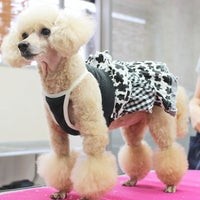 おしゃれトリミングリボントウキョウ