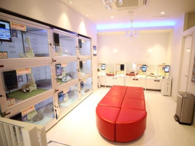 Ｃｏｏ＆ＲＩＫＵ