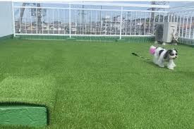 dogsalon wancoco