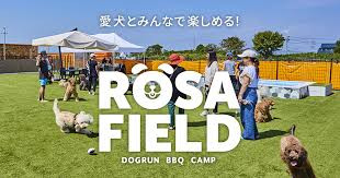 ROSA FIELD（ロサフィールド）