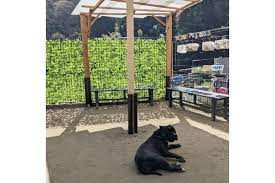 LAUGHTER KENNEL