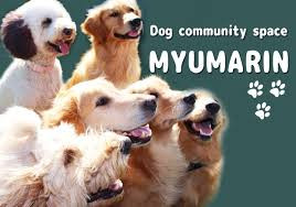 MYUMARIN