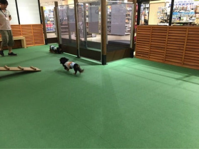 ペテモ徳島店