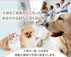 オーナーズアイ