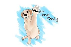 Wan and Only