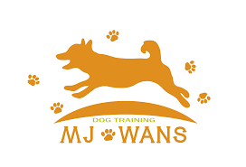MJ WANS