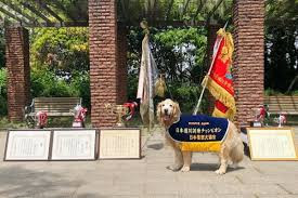 犬の家庭教師 JACK dog school