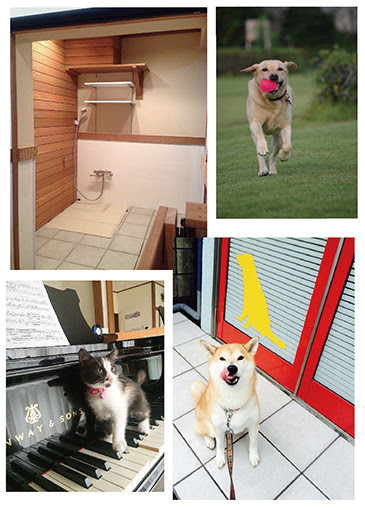 Amore petservice