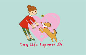 Dog Life Support39
