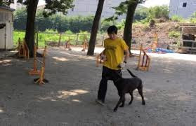 株式会社 梅香荘 警察犬・家庭犬学校