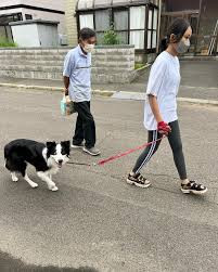 わんこの教室しっぽのじかん