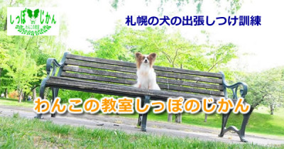 わんこの教室しっぽのじかん