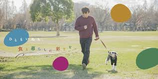 Colors Dog